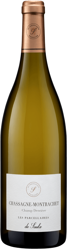 Chassagne Montrachet "Champ Derrière"